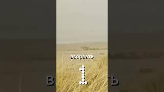 Когда кит взорвался — реальный случай из 1835 года!