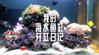 养了8年海鱼是什么体验 我来讲讲