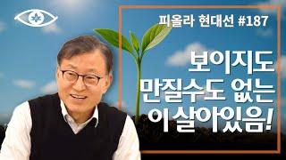 [현대선187] 보이지도 만질수도 없는 이 살아있음! / 피올라 현대선 27강 "당처(이것)" 9회 #피올라마음학교 #마음공부 #깨달음 #현대선