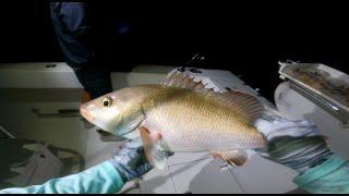 How to Night Time Fish for an Easy Snapper Limit!! *Catch, Clean & Cook* Baked Whole Snapper