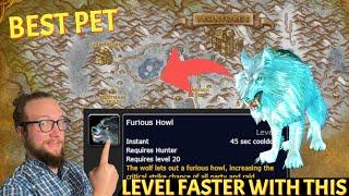 BEST PET and SPEC! Level FAST in Cataclysm | World of Warcraft Cataclysm Prepatch