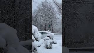 纽约冬天，纽约暴雪，纽约雪景；点赞关注订阅是支持我们的动力！