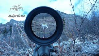 50 BEST HUNTING KILL SHOTS COMPILATION!!! Stuck N The Rut