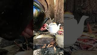 درست کردن چای زغالی در هوای پاییزی | Make charcoal tea in autumn weather