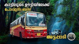 Attappadi | കാട്ടിലൂടെ ഊട്ടിയിലേക്ക് | Ksrtc Mettupalayam Trip | Mannarkkad to Ooty Bus | free20