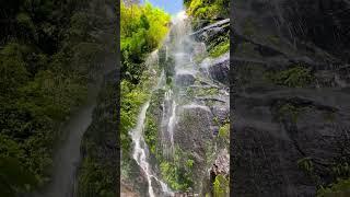 Rang de ranjheya #shortsfeed #youtubeshorts #kedarnath #trending #waterfall #mahadev #viralshorts