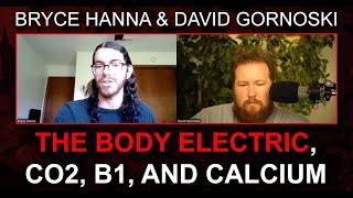 The Body Electric, Co2, B1, and Calcium w/ Bryce Hanna