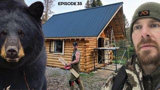 Log Cabin Build on Off-Grid Homestead |EP35| BEAR IN CAMP