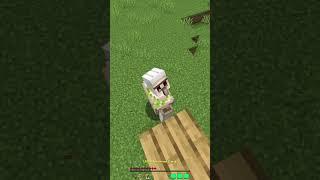 アイアンゴーレムの安全な倒し方【minecraft meme】