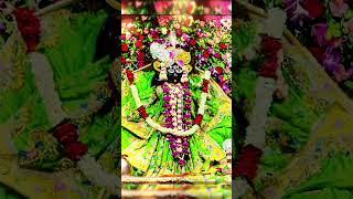 आज सुबह के श्री बांके बिहारी जी के बहुत ही सुंदर श्रृंगार दर्शन | Banke Bihari ji Darshan