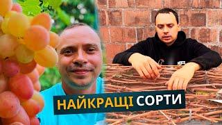 Найкращі сорти винограду для підписників