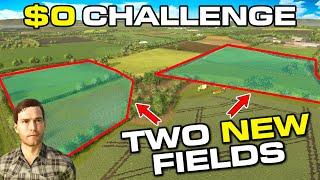 HOW DID I AFFORD 2 PERFECT FIELDS? - Farming Simulator 25 - Competitive MP | Episode 9