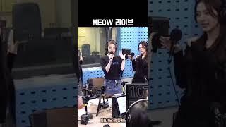 [미야오] MEOW 라이브