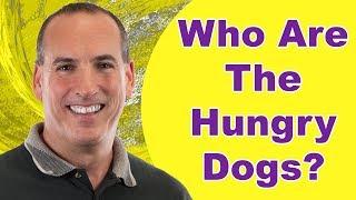 St. Petersburg Florida Videographer FAQ - Who Are the 2 Hungry Dogs