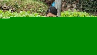 过年每天大鱼大肉都没吃啥蔬菜，三嫂一进菜园傻眼了，根本吃不完 #农村的烟火味道 #农村生活 #乡村烟火气最抚凡人心 #人间烟火 #乡村生活里的惬意松弛