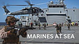 Marines at Sea: Firepower and Readiness