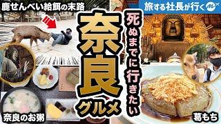 奈良43歳2泊3日旅行。一生に一度は行くべき最高な観光地だった！【東大寺・大仏・おすすめグルメ】47都道府県制覇の旅/Nara