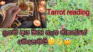 ලගම අය ඔයා ගැන හිතන්නේ මෙහෙමද?|collective Tarrot reading