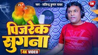 #video | Sugana of the cage The smell of the cage. Bhojpuri Video Song 2024 | Ravindra Kumar Yadav