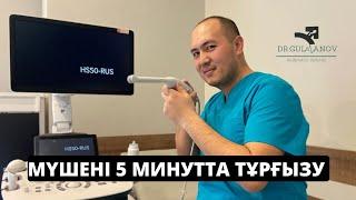 Мүшені қалай 5 минутта тұрғызудың 5 тәсілі | Уролог маманның нұсқаулығы