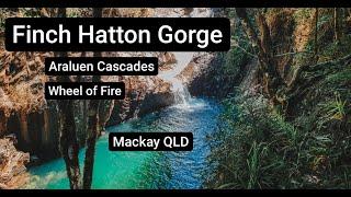 FINCH HATTON GORGE | Qld Road Trip EP02 | Araluen Cascades & Wheel of Fire | Mackay Queensland Aust