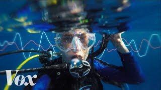 Why the ocean is getting louder