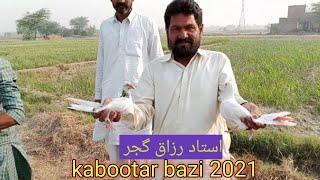 kabootar bazi tournament 2021 || kabootar bazi 2021 faisalabad pigeon