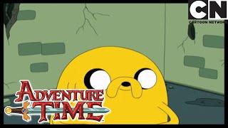 Обратно в школу | Время приключений | Cartoon Network