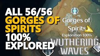 All Chests Gorges of Spirits 100% Exploration Wuthering Waves