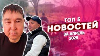 ТОП 5 новостей из криминального мира за апрель 2025 года