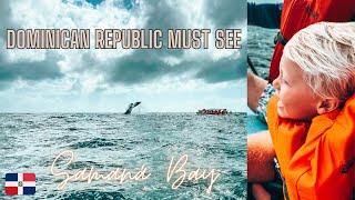 Samaná Bay Humpback Whale Tour | Dominican Republic MUST SEE with Kids