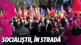 Știri: Socialiștii, în stradă /Amenzi de milioane /08.11.2024