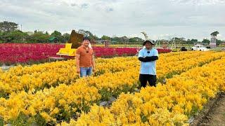 2 Months SEAMAN, 2 Months FARMER: Pano nya Nagagawang laging Maganda ang Flower Farm nya?