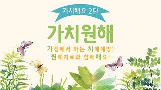 가치해요 시리즈 2탄 - 4화 스칸디아모스 액자 만들기