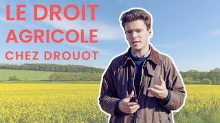 LE DROIT AGRICOLE chez DROUOT: avec Matthieu GRIFFOIN