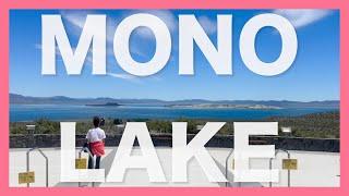 TUFAS AND FUPAS-wish you were here(mono lake up close)