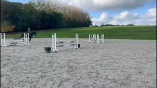 Illégal Storm Z 5yo