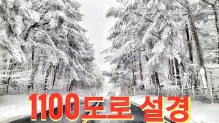 한라산1100도로 설경