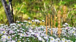 《塵不到，時時自有春風掃  In The Spring Air》（全專輯）1:03:47