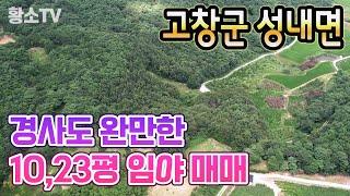 [전남토지매매] #1709 고창군 성내면 경사도 완만한 34,118㎡ (10,321평) 임야 매매