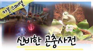 [헬로카봇 특집] 곤충이 나타났어요