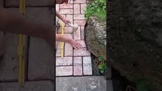 brick paving with reclaimed bricks