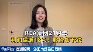 REA集团21财年利润猛增18%！为什么股价却跌了？