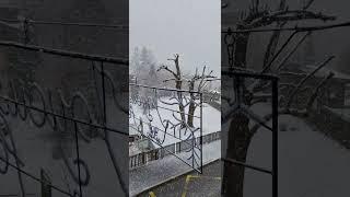 Villars-Sur-Ollon Chesières La Neige