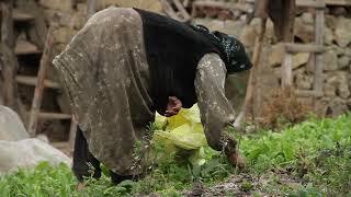 ایران گوهر ما قسمت چهاردهم (آبشار زیارت)