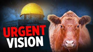 I Saw Israel's Shaking & the Red Heifer [End-Time Vision]