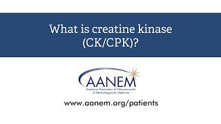 What is creatine kinase?