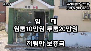 원룸 임대 원룸10만원 투룸20만원