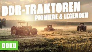 DDR Traktoren - Pioniere und Legenden (ZT 300, BROCKENHEXE, AKTIVIST, RS 04/05, Famulus 36,Traktor)