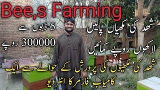 Bee farming/business idea in pak/ Bee farming in pak/ honey business/ honey farming in Urdu/Hindi